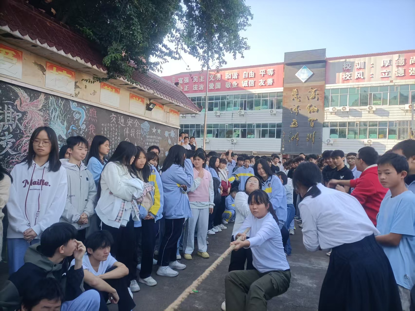 力“拔”山河2025年秋季校园拔河比赛火热开幕(pic12)