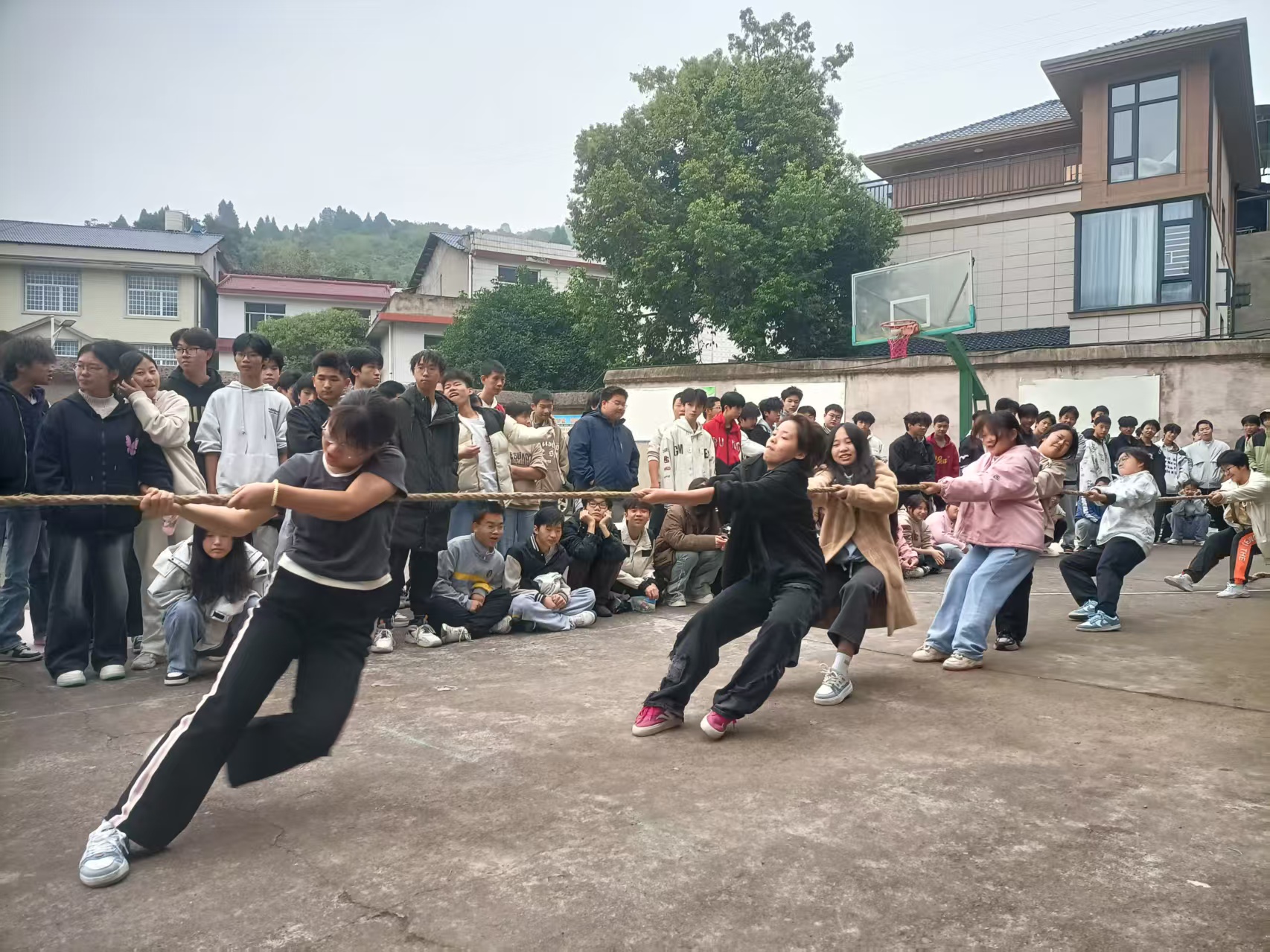 力“拔”山河2025年秋季校园拔河比赛火热开幕(pic10)